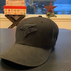 Toronto Bluejays 47 baseball cap